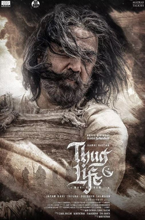 <b><font color='#FF0000'>镇上的新暴徒</font></b>