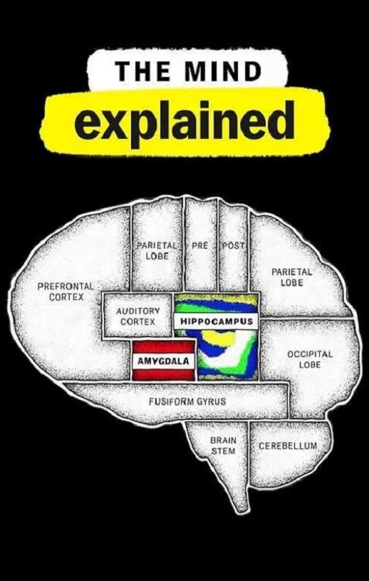 <b><font color='#FF0000'>头脑解密 第二季</font></b>