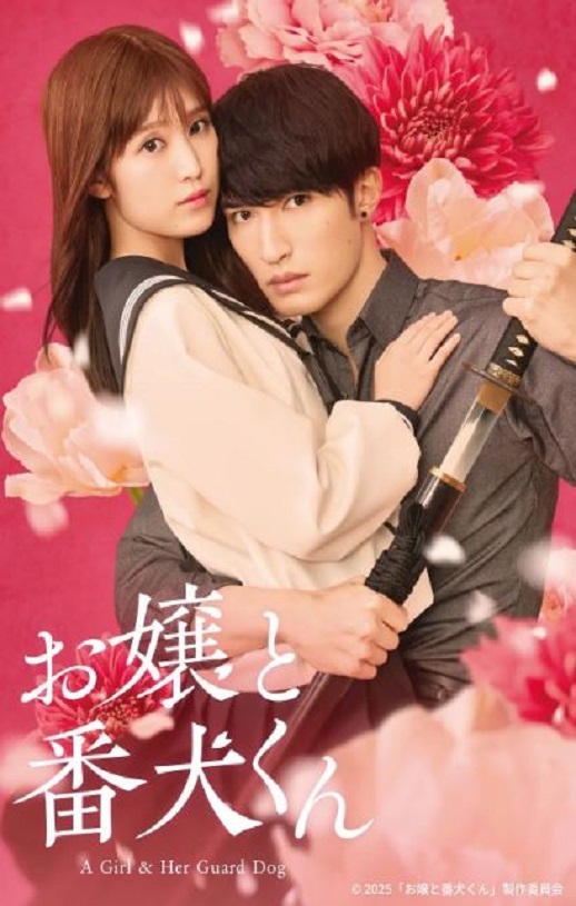 <b><font color='#FF0000'>大小姐和看门犬2025</font></b>