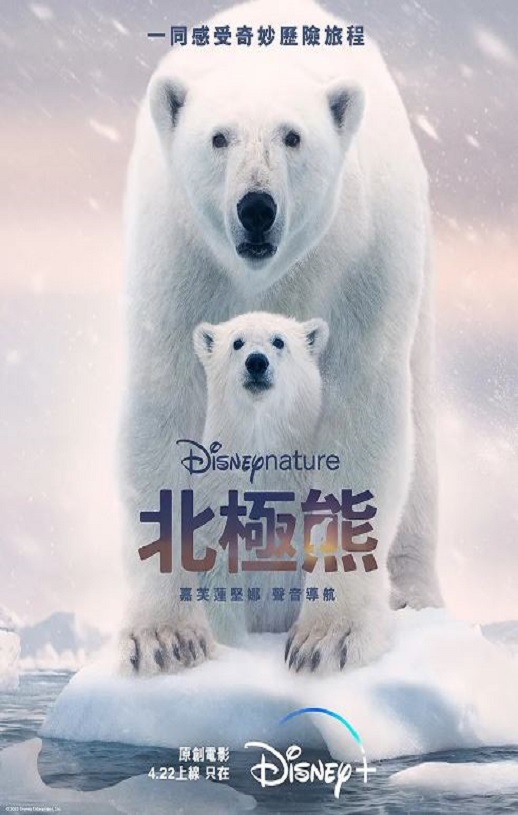 <b><font color='#FF0000'>北极熊</font></b>