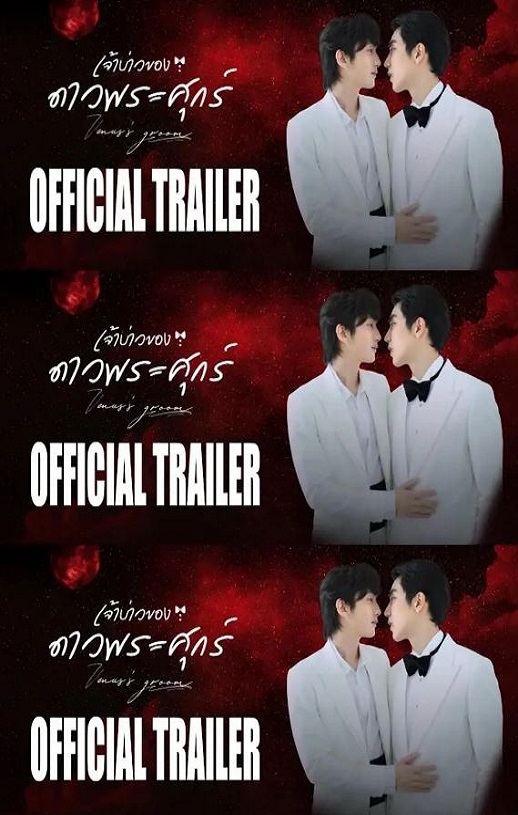 <b><font color='#FF0000'>维纳斯的新郎</font></b>