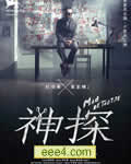 神探(国语DVD)
