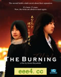 燃烧/燃爱[DVD中英双字