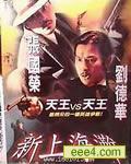 新上海滩(刘德华 张国
