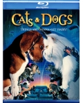 <b>猫狗大战DVD国语配音中</b>