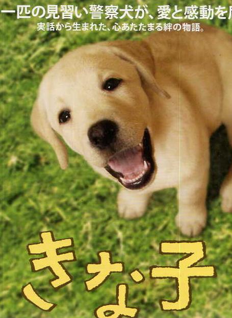 实习警犬物语960x540简