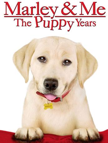 <b>马利和我2:小狗岁月</b>