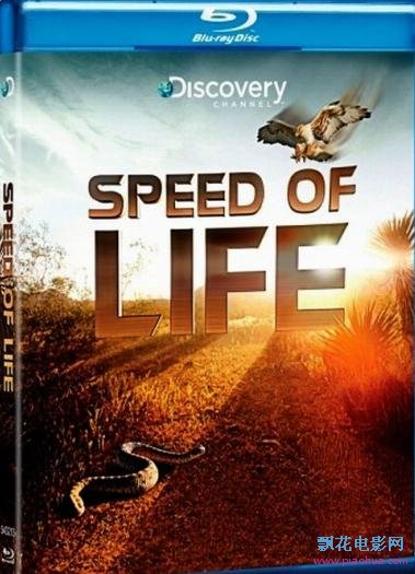 探索頻道：生命的速度