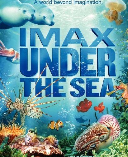 海底世界1024高清双语