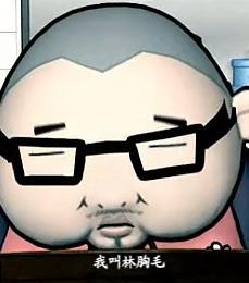 胸毛传DVD国语中字20