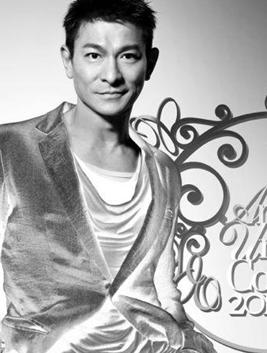 刘德华2010演唱会BD中字