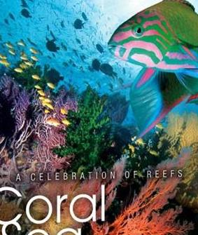 梦幻珊瑚海：唤醒BD中