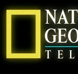 不友善的海豚纪录片美