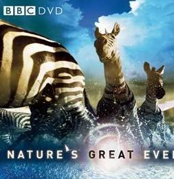 自然大事件HD中英双字