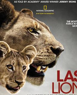 最后的狮子BD中英双字