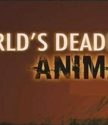 国家地理世界致命动物