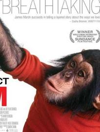 尼姆计划/项目：尼姆