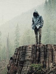 如果树倒下：一个地球