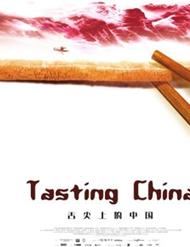 舌尖上的中国HD国语中