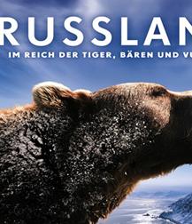 俄罗斯：在老虎，熊和