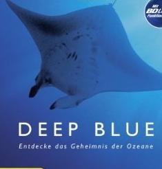 <b>深蓝1-2BD中英双字102</b>