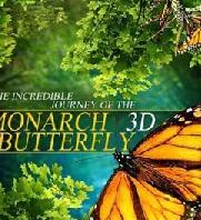 莫纳克蝴蝶的神奇之旅