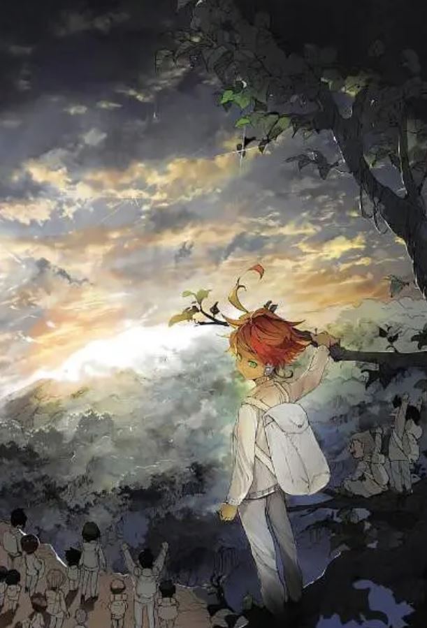 <b><font color='#FF0000'>约定的梦幻岛 第二季</font></b>