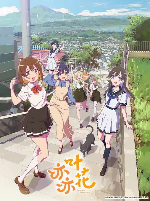 <b><font color='#FF0000'>亦叶亦花</font></b>