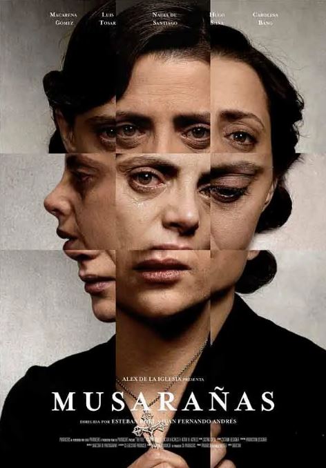 <b><font color='#FF0000'>鼩鼱的巢穴</font></b>