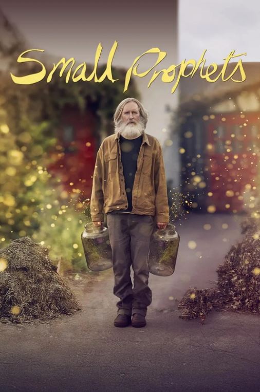 <font color='#FF0000'>小先知</font>