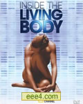 人体内旅行[DVD中字1