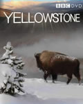 黄石公园(3集全)【BD中