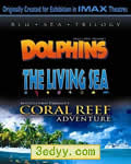 IMAX 生命的海洋[BD中字