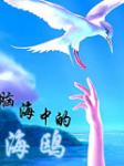 脑海中的海鸥(2集)