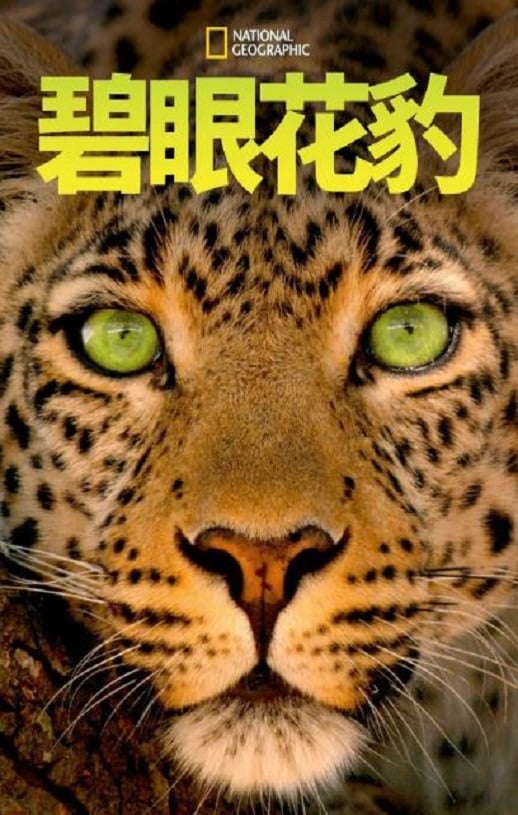 《碧眼花豹》2020年高清电影播放链接下载_磁力下载 《碧眼花豹》2020年高清电影播放链接下载_磁力下载