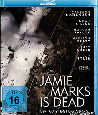 <b><font color='#FF0000'>死后的关怀/忧伤男孩</font></b>