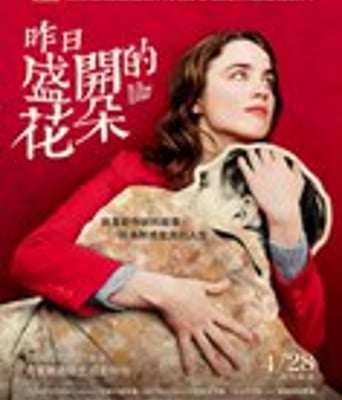 <b><font color='#FF0000'>昨日之花</font></b>