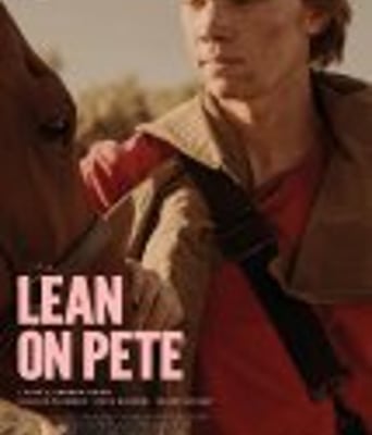 <b><font color='#FF0000'>赛马皮特</font></b>