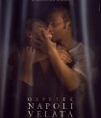 <b><font color='#FF0000'>面纱下的那不勒斯</font></b>