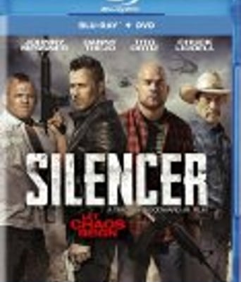 <b><font color='#FF0000'>消音器</font></b>