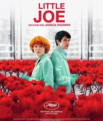 <b><font color='#FF0000'>小小乔</font></b>