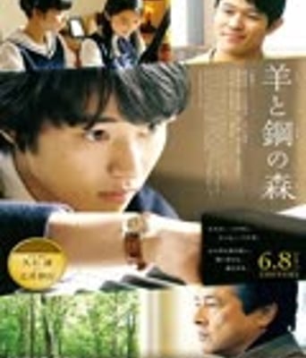 <b><font color='#FF0000'>羊与钢的森林</font></b>