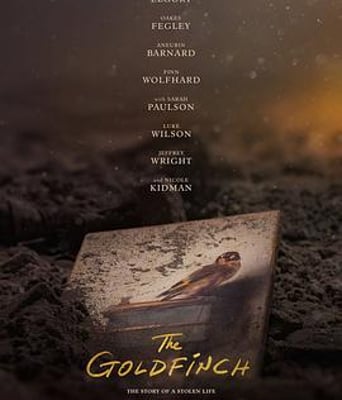 <b><font color='#FF0000'>金翅雀</font></b>