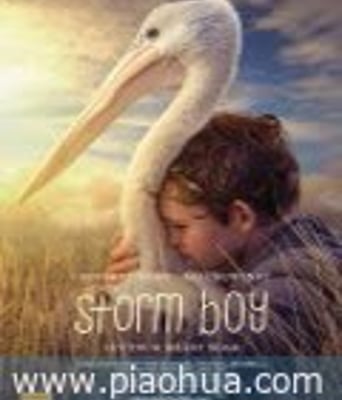 <b><font color='#FF0000'>鹈鹕的故事</font></b>