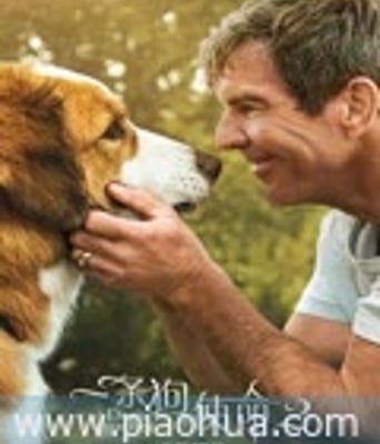 <font color='#FF0000'>一条狗的使命2</font>