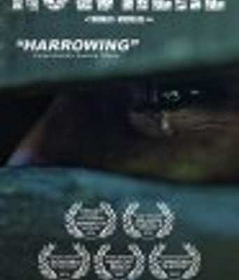 <b><font color='#FF0000'>居无定所</font></b>