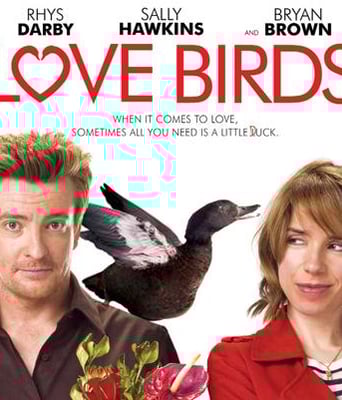 <b>爱情鸟BD中英双字128</b>