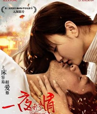 一夜未了情DVDscr国粤双