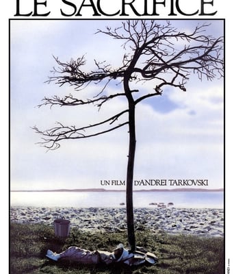 <b><font color='#FF0000'>牺牲高清720P 1280*720</font></b>