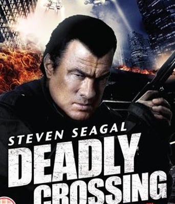 跨界侦查DVDRiP简中字幕